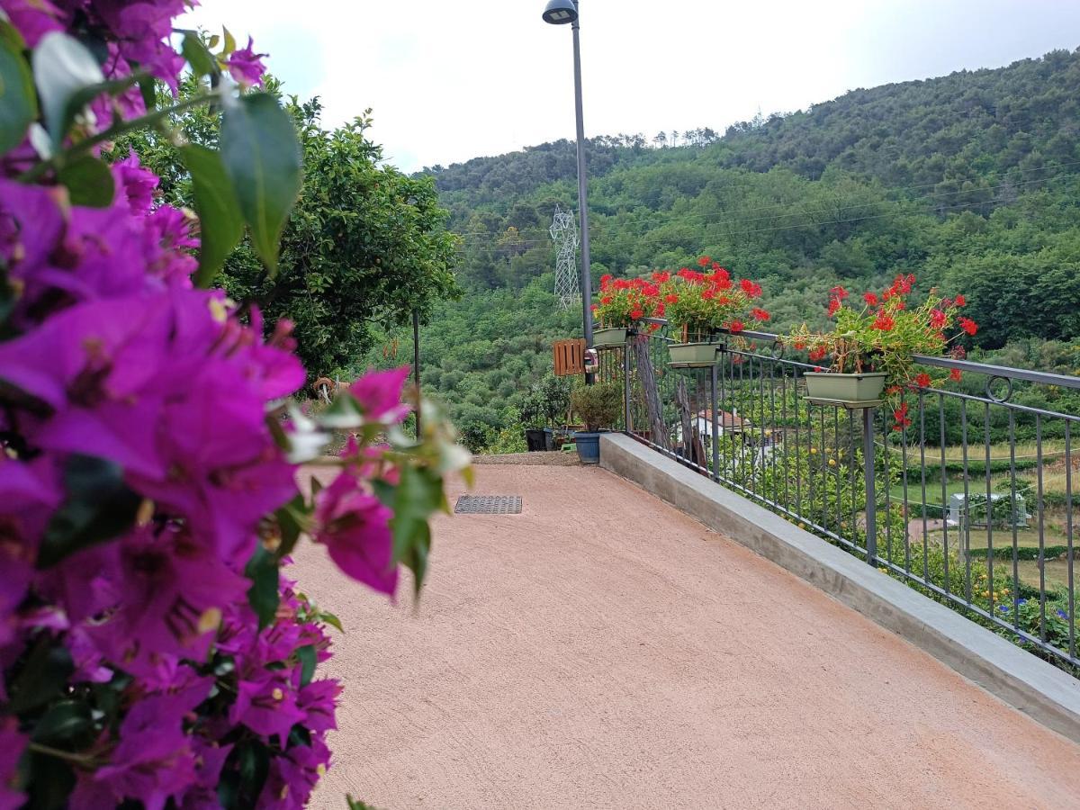 La Borgata Otel Tovo San Giacomo Dış mekan fotoğraf
